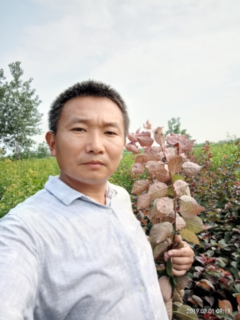 孩子爸的第二张照片--德州相亲服务中心