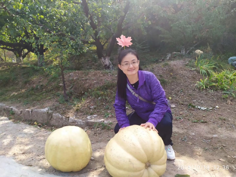 海绵宝宝的第一张照片--德州相亲服务中心