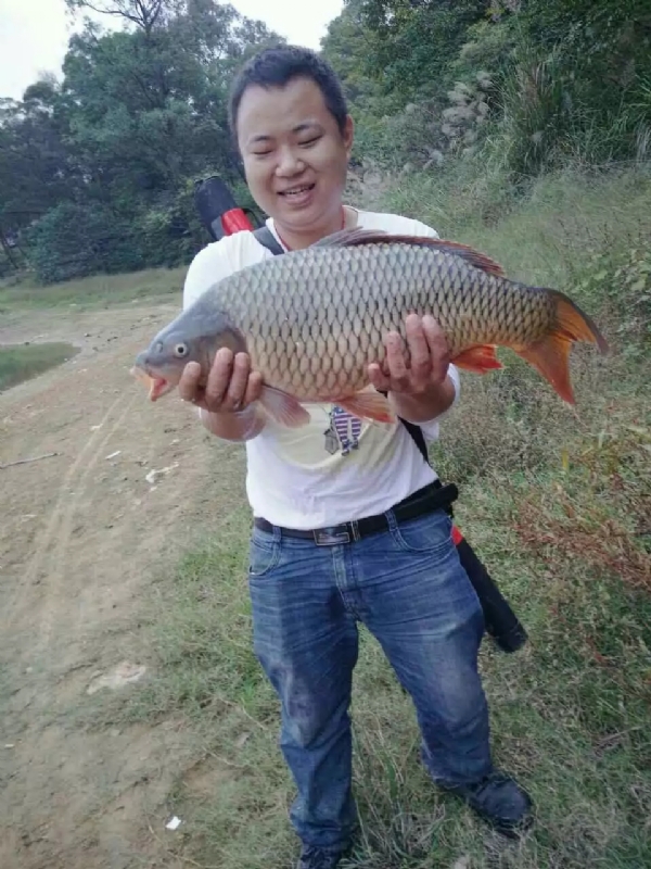 迷路的男人的第一张照片--德州相亲服务中心