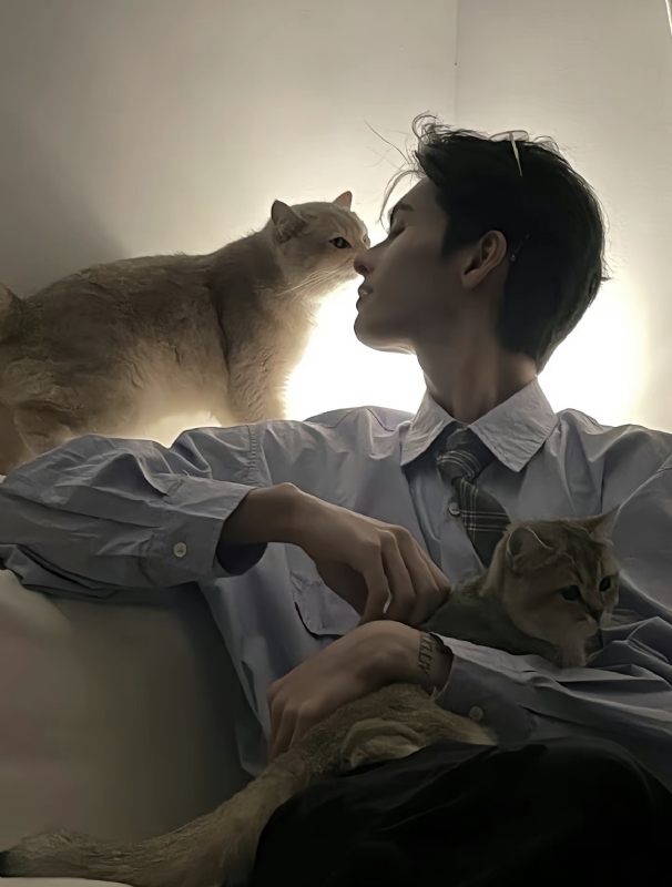 怪猫的第一张照片--德州相亲服务中心