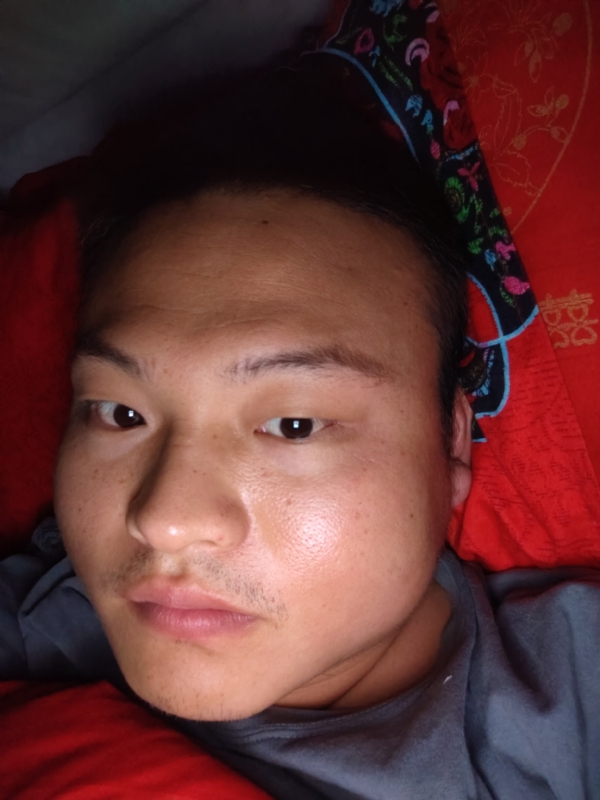 大黄的第一张照片--德州相亲服务中心