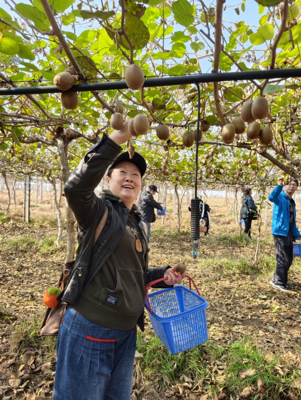 夜莺的第三张照片--德州相亲服务中心